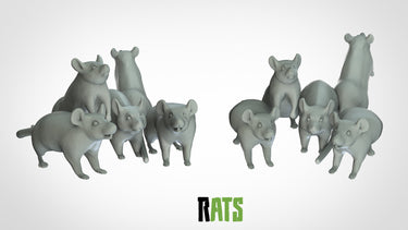 Rats